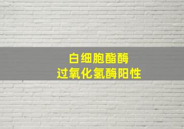 白细胞酯酶 过氧化氢酶阳性